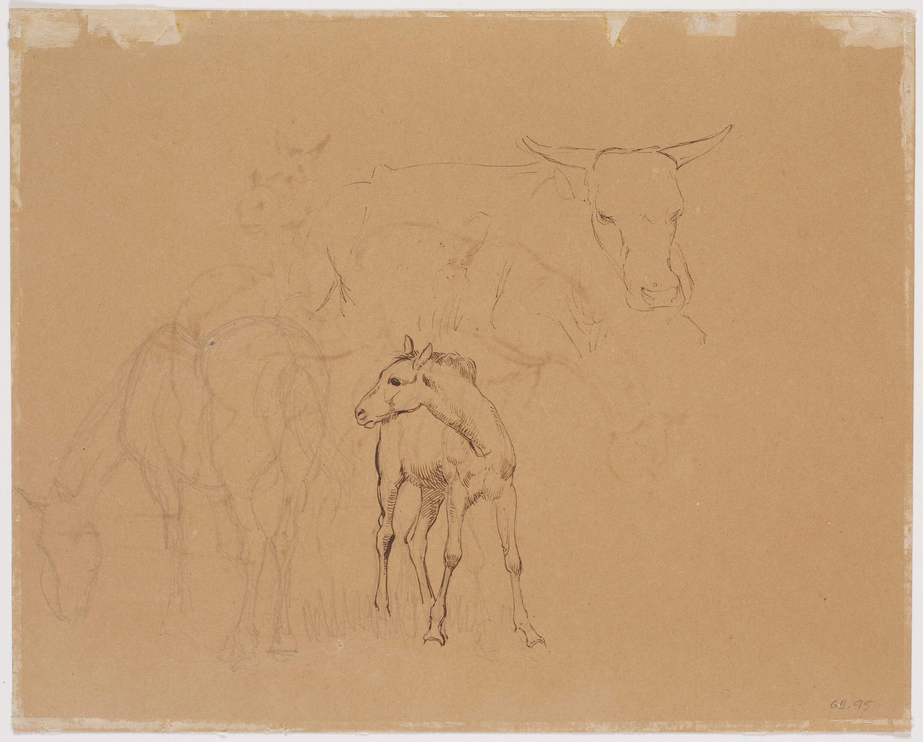 Studie af en græssende hest, et føl og en liggende ko